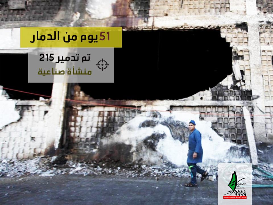ذكرى حرب 2014