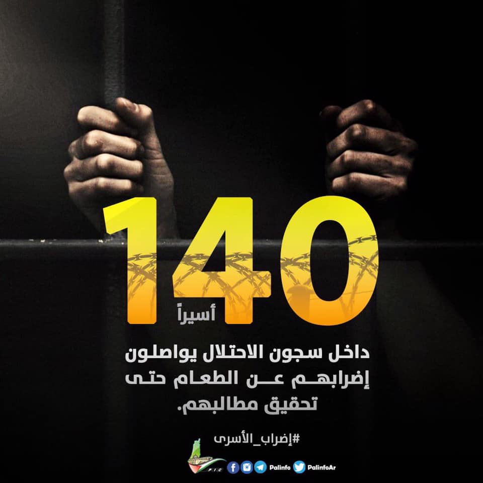 المعركة مستمرة