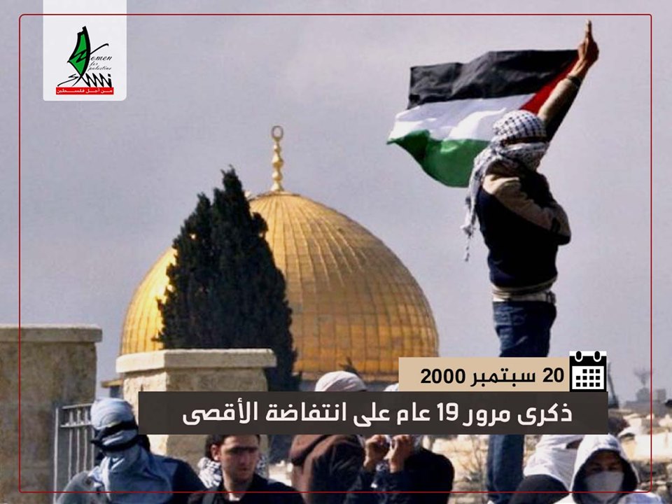 19 عام