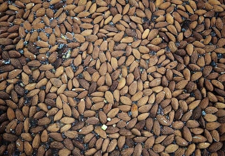 مصانع الحلقوم‎ ‎بغزة تُنتج كميات كبيرة استعدادًا لعيد الفطر السعيد